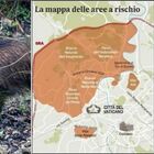 Cinghiali a Roma, tutti i parchi a rischio