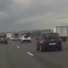 Cavallo attraversa l'autostrada e provoca un tamponamento