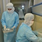 Coronavirus, in Abruzzo altri sette casi (24 in totale): positivi due medici a Penne