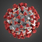 Coronavirus, lo studio italo-statunitense: «Una mutazione l'ha reso più contagioso fuori dall'Asia»