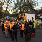 Scuolabus contro un albero: morti 5 bambini delle elementari e 5 feriti. L'autista ha perso il controllo del mezzo