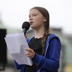 Greta Thunberg lascia la scuola per un anno: «Si dedicherà all'ambiente»