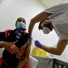 Vaccini, all'Italia 101 milioni di dosi entro il 2021: il decreto ufficiale del ministero della Salute