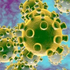 Il coronavirus sopravvive nell'aria tre ore. Scoperta di un team medico, come proteggersi