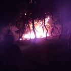 Fiamme nella pineta, sfiorato il disastro Fiamme nella pineta, sfiorato il disastro