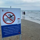 Batteri oltre limiti: stop bagni in mare in Romagna