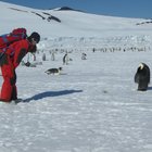«Antartide, vi racconto la vita al Polo Sud», faccia a faccia con la prof Laura Zucconi