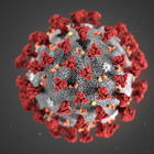 Coronavirus, cosa sappiamo finora e quanto abbiamo imparato: dalla mappa genetica alle cure