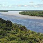 Otto pesci su 10 contaminati dalle microplastiche nel "paradiso" del Rio delle Amazzoni