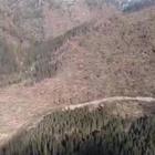 Raffiche di vento a 120 km/h, è strage di alberi sulle Dolomiti Video