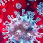 Coronavirus, Galli: «Vaccino su larga scala temo disponibile non prima della fine 2021»