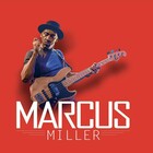 Marcus Miller torna in italia: il superman del basso suonerà a Lucca e a Napoli