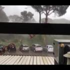 Gli alberi cadono colpiti dalla tempesta, scoppia il panico Video