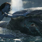 «Avatar» torna al cinema e va a caccia di record 
