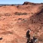 Argentina, scoperto un cimitero di dinosauri: i fossili hanno 220 milioni di anni