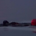 A nuoto nelle acque gelide del lago Bajkal: l'impresa di cinque ambientalisti