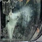 Casamicciola, cane rimane bloccato per giorni nell'auto dei padroni dispersi