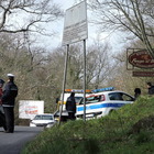 Albano, allarme cinghiali ai Castelli: raffica di incidenti sulle strade