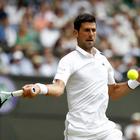 Wimbledon, Djokovic è il primo semifinalista: spazzato via Goffin
