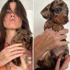 Kasia Smutniak e il suo nuovo cane maculato: «Abbiamo alcune cose in comune»