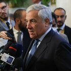 Antonio Tajani: «Un ministero per gli italiani all'estero. Renzi un illusionista, non ci supererà»