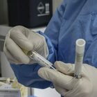 Parte in Usa il test su vaccino: 60mila volontari per la “fase 3"