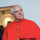 Il cardinal Mueller: «Intorno al Papa un cerchio magico che decide anche le nomine. Su abusi i suoi amici sono privilegiati»
