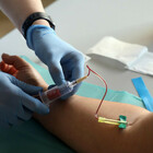 Covid, il Cnr: un'analisi del sangue può predire la gravità dell'infezione