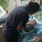 Beirut, l'esplosione distrugge la sala parto, bimbo nasce sano e salvo grazie all'aiuto dei medici