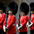 La divisa delle guardie inglesi fa discutere, l'appello social alla regina: «Con questo caldo è folle»