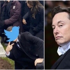 Rip Twitter, Elon Musk chiude gli uffici: social al capolinea? Utenti nel panico e in fuga su Mastodon e Tumblr Cosa succede
