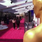 Oscar, tutto pronto al Dolby Theatre: film, curiosità e minacce di boicotaggio