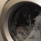 Fa partire la lavatrice e non si accorge che c'è il figlio dentro: neonato trovato morto