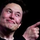 Elon Musk, «Scimmie morte durante gli esperimenti di Neuralink»: bufera sull'azienda del magnate