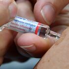 Vaccino, in arrivo altre 470 mila dosi Pfizer
