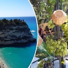 Vacanze italiane, la Calabria del turismo riparte e rilancia la sua immagine