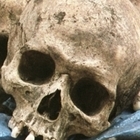 Vendevano ossa e scheletri sul web, tre indagati per traffico di resti umani