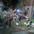 Roma, albero si spezza e crolla su un'auto a Corso Trieste: ferita una donna