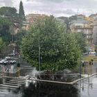 Meteo, bomba d'acqua a Roma Nord, strade allagate e alberi caduti: il ciclone Circe si abbatte sulla Capitale