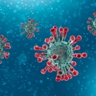 Coronavirus, Pregliasco: «Resiste 9 giorni sulle superfici come metallo, vetro e plastica»