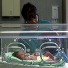 Morte in culla del neonato: «Potrebbe essere evitata, la seratonina è il campanello molecolare». Ecco come agisce