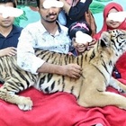 Thailandia, per colpa del Covid chiude lo Zoo 