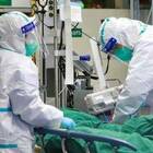 Covid, una ragazza non vaccinata muore in ospedale a Lucca per complicazioni cardio-respiratorie