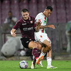 immagine Salernitana, Inzaghi ritrova Pirola per lo scontro salvezza contro l’Empoli