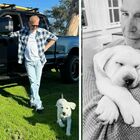 Kevin Costner si consola con un cucciolo di cane dopo il divorzio da Christine Baumgartner: «Ragazzo speciale...»