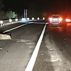 Rieti, cinghiali attraversano la strada: incidente nella notte