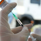 Vaccino obbligatorio, il giurista Ichino: «Chi si rifiuta può essere licenziato»