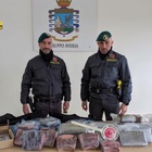 immagine Caivano, arrestati tre narcos con 50 chili di cocaina nel camion