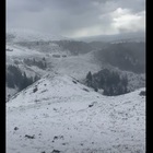 Nevicata fuori stagione: il Monte Grappa completamente imbiancato. Le suggestive immagini