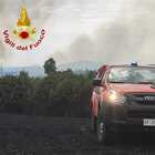 Vasto incendio a Taizzano di Narni: In fumo venti ettari di bosco